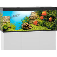 Produktbild von Juwel Rio 450 LED Komplett Aquarium in Schwarz ohne Unterschrank - 450 l