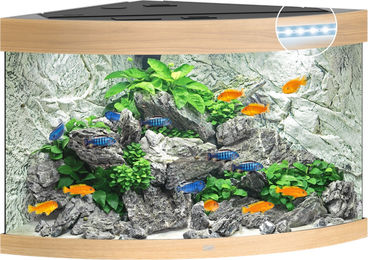 Juwel Trigon 190 LED Aquarium helles Holz – Bild 1 von 6