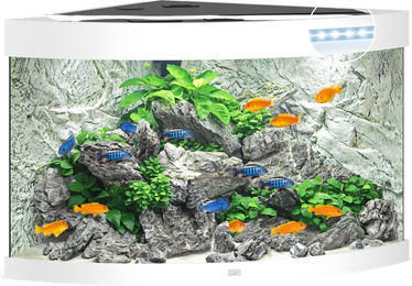 Juwel Trigon 190 LED Aquarium Weiß – Bild 1 von 5