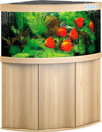 Juwel Trigon 350 LED Aquarien-Kombination mit hellem Holz – Bild 1 von 2