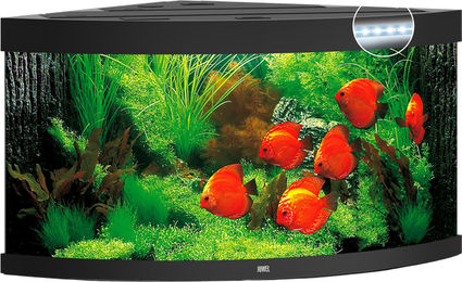Juwel Trigon 350 LED Aquarium schwarz – Bild 1 von 3