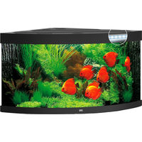 Produktbild von Juwel Trigon 350 LED Aquarium schwarz