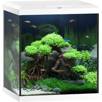 Produktbild von Juwel Vio Cube 54 Aquarium in Weiß