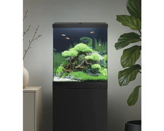 Juwel Vio Cube 54 Aquarium mit LED Beleuchtung – Bild 1 von 3