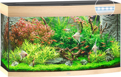 Juwel Vision 180 LED Aquarium mit hellem Holz – Bild 1 von 3