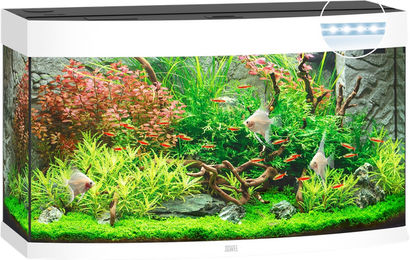 Juwel Vision 180 LED Aquarium Weiß – Bild 1 von 3