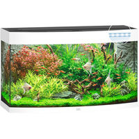Produktbild von Juwel Vision 180 LED Aquarium Weiß