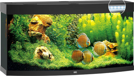 Juwel Vision 260 LED Aquarium schwarz - 260 l – Bild 1 von 3