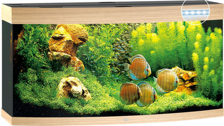 Juwel Vision 260 LED Aquarium Set in hellem Holz – Bild 1 von 5