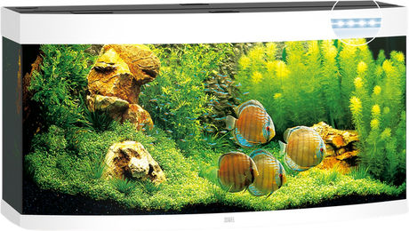 Juwel Vision 260 LED Aquarium weiß – Bild 1 von 3