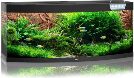 Juwel Vision 450 LED Aquarium Schwarz – Bild 1 von 3