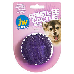 JW Pet Bristly Cactus Ball Hundespielzeug für Welpen aus Gummi Lila - 1 Stk. – Bild 1 von 5