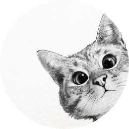 Produktbild von K&L Wall Art Vliestapete Graves Kleine Katze Kätzchen
