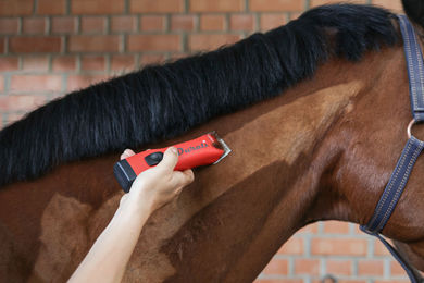 Produktbild von Kabellose Rasenmäher mit 2 Akkus Kerbl Durati