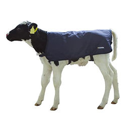 Kalbsdecke Kerbl EasyWear – Bild 1 von 5