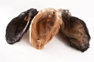 Produktbild von Kalbsohren mit Fell - 1