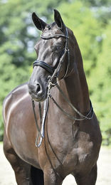 Produktbild von Kandare MASSA