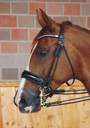 Produktbild von Kandarenzaum DY Dressage rundgenäht