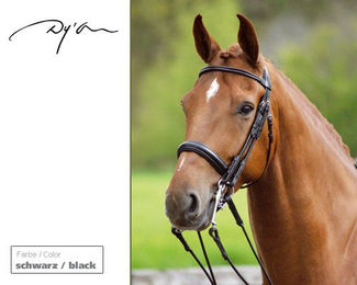 Produktbild von Kandarenzaum DY rund 3,8 cm