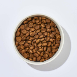 Produktbild von Kaninchen & Kartoffel Hundefutter - 1 kg