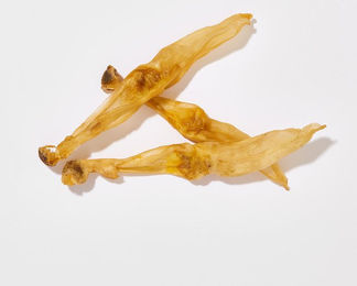 Kaninchenohren getrocknet – Bild 1 von 2