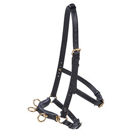 Produktbild von Kappzaum BU Professional