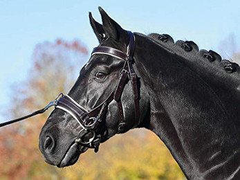 Produktbild von Kappzaum FIT PRO