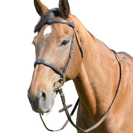 Kappzaum für Pferde mit Zügeln Kincade Classic – Bild 1 von 2