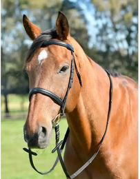 Produktbild von Kappzaum für Pferde mit Zügeln Kincade Classic