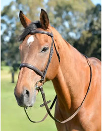 Produktbild von Kappzaum für Pferde mit Zügeln Kincade Classic