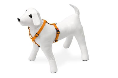 Karlie Art Sportiv Plus Hundegeschirr 20 mm Brust 45-70 cm M orange – Bild 1 von 2