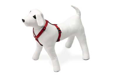 Karlie Art Sportiv Plus Nylon-Hundegeschirr – Bild 1 von 5