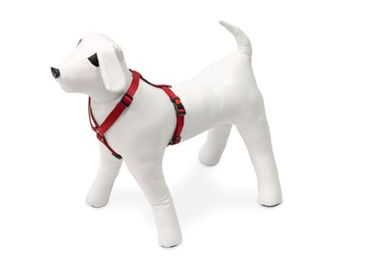 Karlie Art Sportiv Plus Nylon-Hundegeschirr rot – Bild 1 von 4