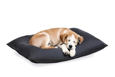 Produktbild von Karlie Charly Hundekissen Schwarz 80x60x15 cm