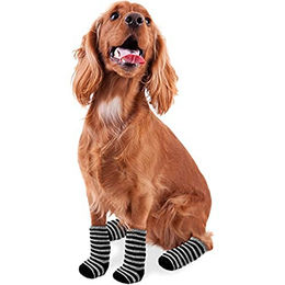 Karlie Doggy Socks schwarz-grau Größe L – Bild 1 von 4