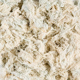 Produktbild von Karlie Edelstahlnapf Bella mit Pfoten Motiv - 0,8 l