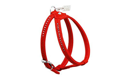 Produktbild von Karlie Geschirr Buffalo Strass rot L 20 cm 10 mm