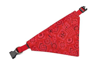 Karlie Halsband mit Halstuch Nylon Rot 40-65x2,5 cm - 1 Stk. – Bild 1 von 6