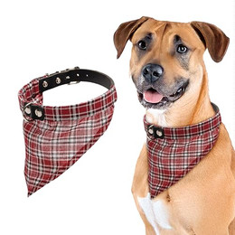 Produktbild von Karlie Halsband mit Halstuch Rondo rot Größe S/M