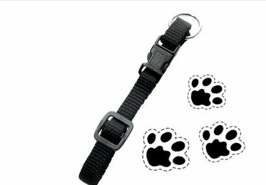 Karlie Halsband mit Zugentlastung Sportiv Basic schwarz – Bild 1 von 4