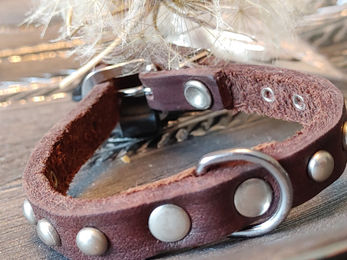 Karlie Halsband Rondo genietet dunkelbraun XS - 24 cm – Bild 1 von 2