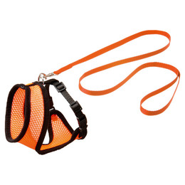 Produktbild von Karlie Kätzchengarnitur Harms orange-schwarz - 110 cm