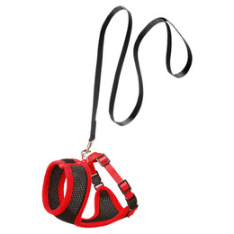 Produktbild von Karlie Kätzchengeschirr und Leine Harms schwarz-rot - 110 cm