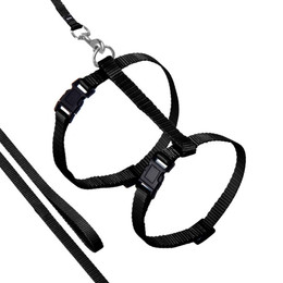 Produktbild von Karlie Katzengeschirr mit Leine Sportiv Plus schwarz - 110 cm