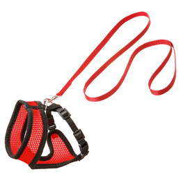 Produktbild von Karlie Katzengeschirr und Leine Harms rot-schwarz