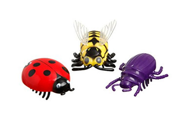 Produktbild von Karlie Katzenspielzeug Crazy Bug - 1 Stk.