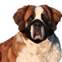 Karlie Maulkorb Nylon Größe XXL – Bild 1 von 4