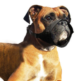 Karlie Maulkorb Nylon Spezial für Kurznasenhunde – Bild 1 von 4