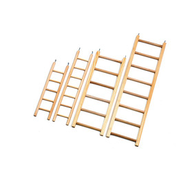 Produktbild von Karlie Nymphensittichleiter