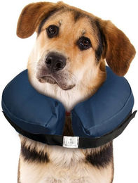 Karlie OP-Body Hunde Schutzkragen aufblasbar – Bild 1 von 4